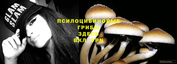 мяу мяу мука Арсеньев