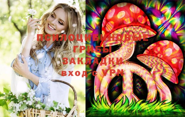 мяу мяу мука Арсеньев