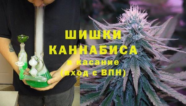 дживик Аркадак