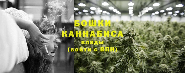 дживик Аркадак